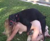 Girl Dog Sex 3gp | Sex Pictures Pass